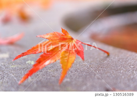 秋イメージ、鮮やかな紅葉の季節 130516389