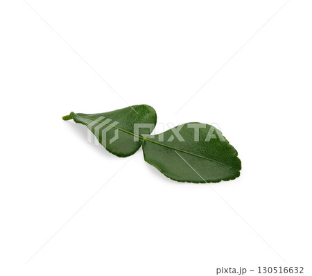 Kaffir lime leaf isolated on white background Kaffir lime leaf isolated on white background 130516632