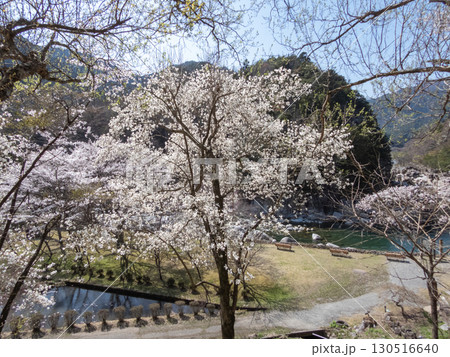 寝覚の床周辺の景色 130516640