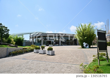 PANDA LOVE 130516765