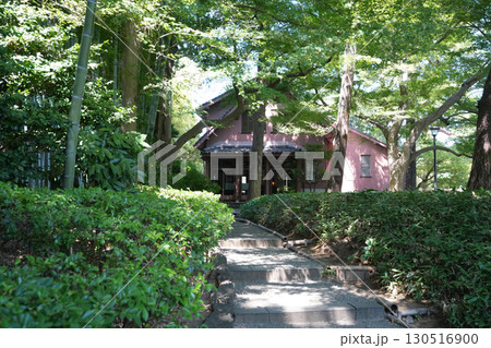 大田黒公園 130516900