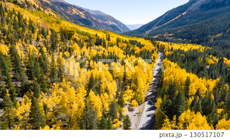 Aerial view of rural road winding through the yellow aspen forest in Colorado, USA 130517107