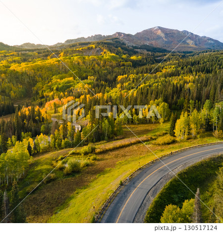 Aerial view of yellow aspen and green pine forest during early fall foliage in Colorado, USA 130517124