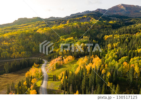 Aerial view of yellow aspen and green pine forest during early fall foliage in Colorado, USA Aerial view of yellow aspen and green pine forest during early fall foliage in Colorado, USA 130517125