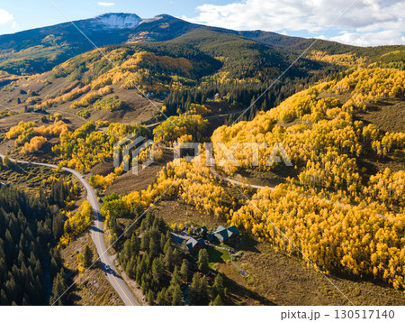 Beautiful yellow aspen forest during golden sunset in peak fall foliage with cottage on the hill Beautiful yellow aspen forest during golden sunset in peak fall foliage with cottage on the hill 130517140