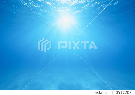 水中から上を見上げた風景 130517207