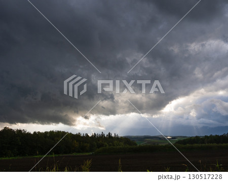 北海道・富良野の秋景色と dramaticな空模様 130517228