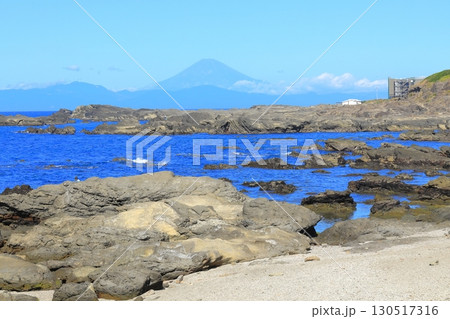 三浦半島から望む富士山 三浦半島から望む富士山 130517316