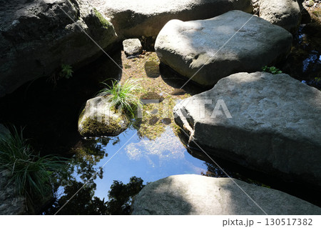 大田黒公園 130517382