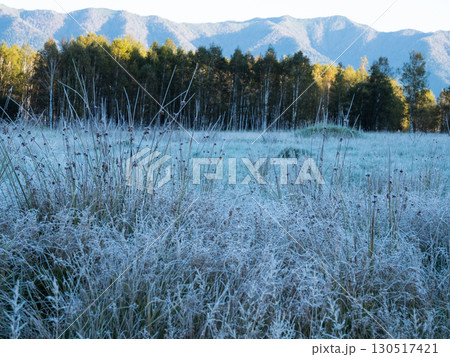 北海道・大雪山十勝三股の初霜風景 130517421