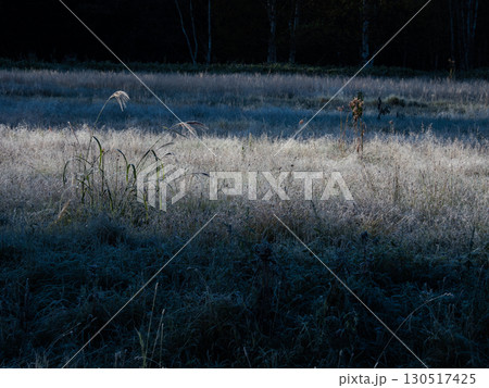 北海道・大雪山十勝三股の初霜風景 130517425