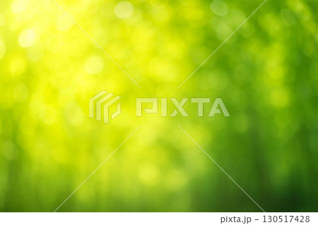 背景素材　新緑　若葉　全面ボケ　 130517428