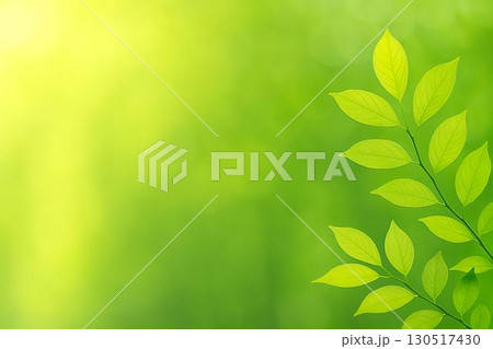 新緑 若葉 新緑 若葉 130517430