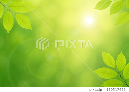 新緑　若葉 130517431