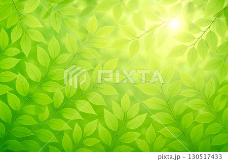新緑　若葉　春　太陽光線 130517433