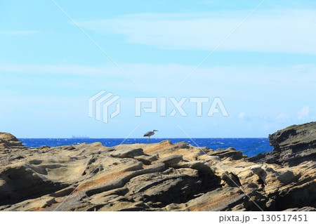 三浦半島の神奈川県の最南端の城ヶ島の夏 三浦半島の神奈川県の最南端の城ヶ島の夏 130517451