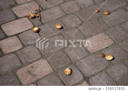 マンホールと煉瓦歩道 マンホールと煉瓦歩道 130517835