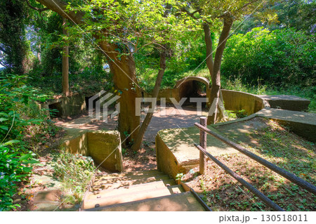 神奈川県横須賀市の無人島 猿島公園 130518011