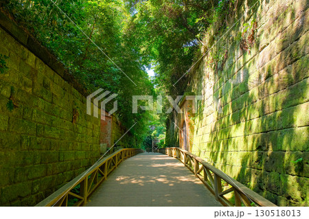 神奈川県横須賀市の無人島 猿島公園 神奈川県横須賀市の無人島 猿島公園 130518013