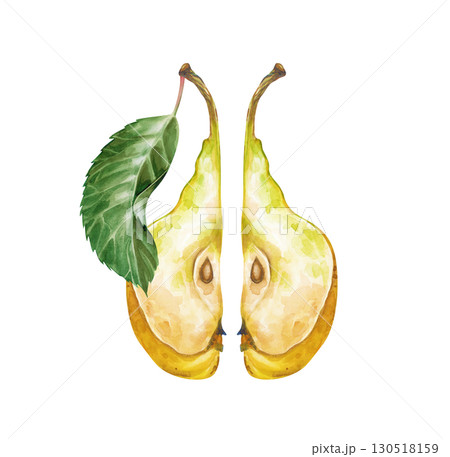 Two slices of pear with seeds and a green leaf, hand-drawn. Watercolor illustration of a fruit isolated on a white background. Juicy fruit template for nutrition, dieting, gardening and farming topics 130518159