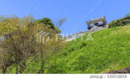 青空に映える掛川城 130518659