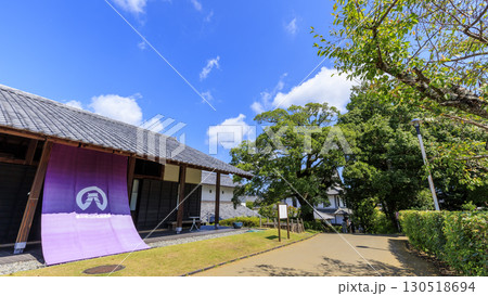 青空に映える掛川城 青空に映える掛川城 130518694