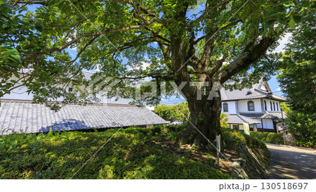 青空に映える掛川城 130518697