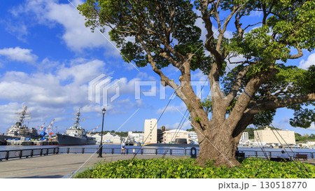 横須賀港の海上自衛隊と米海軍艦艇 130518770