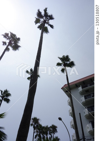 2020年8月8日、神奈川県逗子市:逗子マリーナに併設されているリゾート施設「トロピカルコンドミニア 2020年8月8日、神奈川県逗子市:逗子マリーナに併設されているリゾート施設「トロピカルコンドミニア 130518807