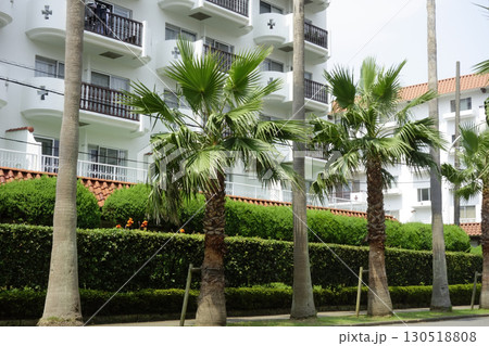 2020年8月8日、神奈川県逗子市：逗子マリーナに併設されているリゾート施設「トロピカルコンドミニア 130518808
