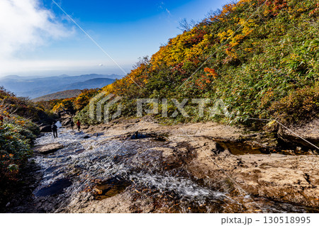 秋色に染まる　栗駒山の絶景　 130518995