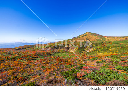 秋色に染まる　栗駒山の絶景　 130519020