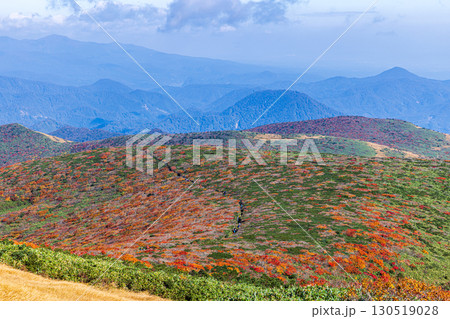 秋色に染まる 栗駒山の絶景 秋色に染まる 栗駒山の絶景 130519028