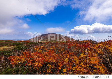 秋色に染まる 栗駒山の絶景  秋色に染まる 栗駒山の絶景  130519053