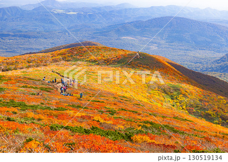 秋色に染まる　栗駒山の絶景　 130519134