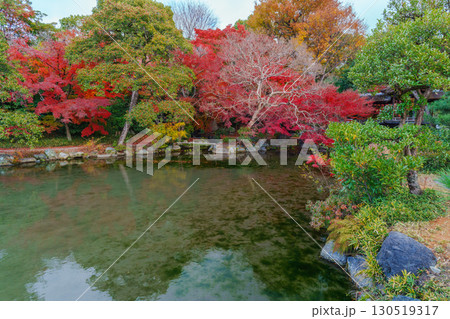 京都　渉成園　印月池と丹楓渓 130519317