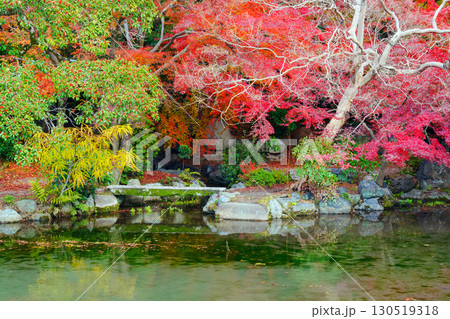 京都　渉成園　印月池と丹楓渓 130519318