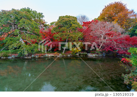 京都　渉成園　印月池と丹楓渓 130519319