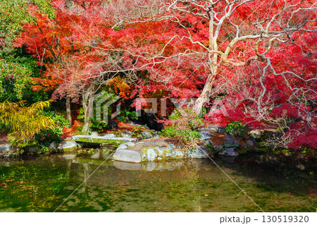 京都 渉成園 印月池と丹楓渓 京都 渉成園 印月池と丹楓渓 130519320
