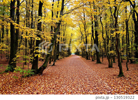 秋の風景 130519322