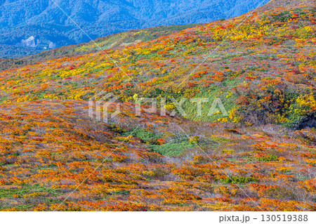 秋色に染まる 栗駒山の絶景 秋色に染まる 栗駒山の絶景 130519388