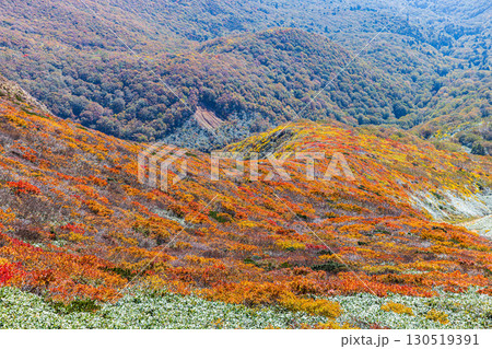 秋色に染まる　栗駒山の絶景　 130519391