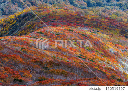 秋色に染まる　栗駒山の絶景　 130519397