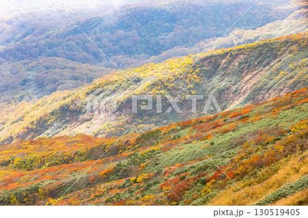 秋色に染まる　栗駒山の絶景　 130519405
