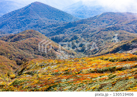 秋色に染まる 栗駒山の絶景 秋色に染まる 栗駒山の絶景 130519406