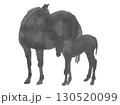モノクロの馬の親子のシルエット 130520099