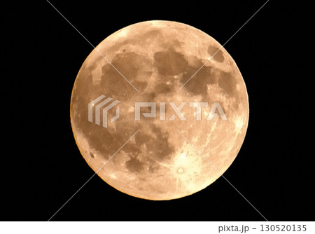 満月 130520135