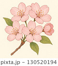 桜の花束 130520194