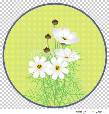 円形背景つきコスモスのイラスト 円形背景つきコスモスのイラスト 130520487