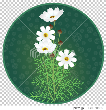 具有圓形背景的宇宙插圖 130520492